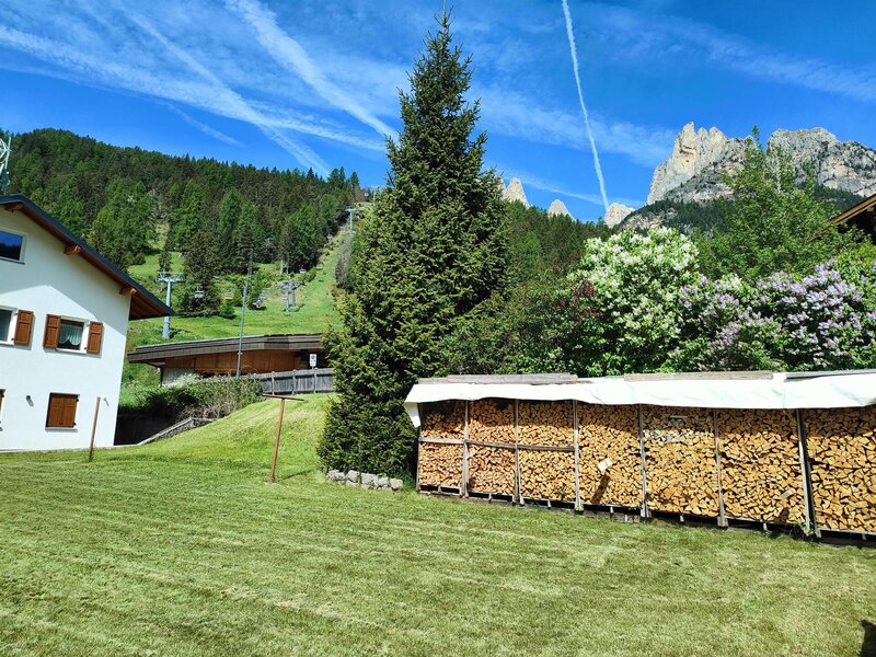 IMG20250530105214